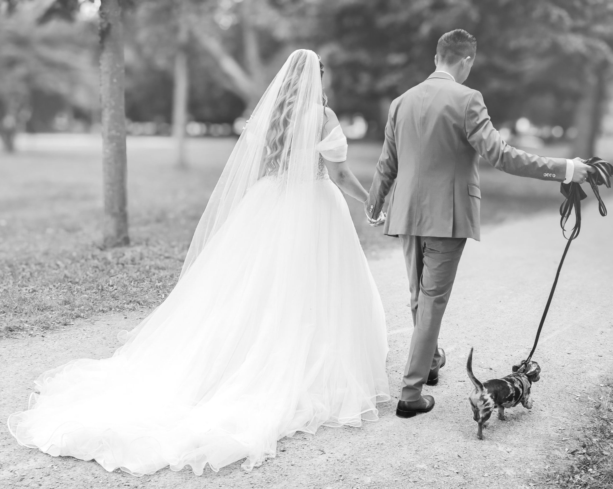 Was kostet ein Hochzeitsfotograf?